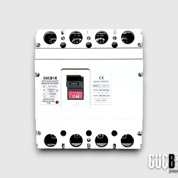 AM1-630L-4300B GÜÇBİR TMŞ